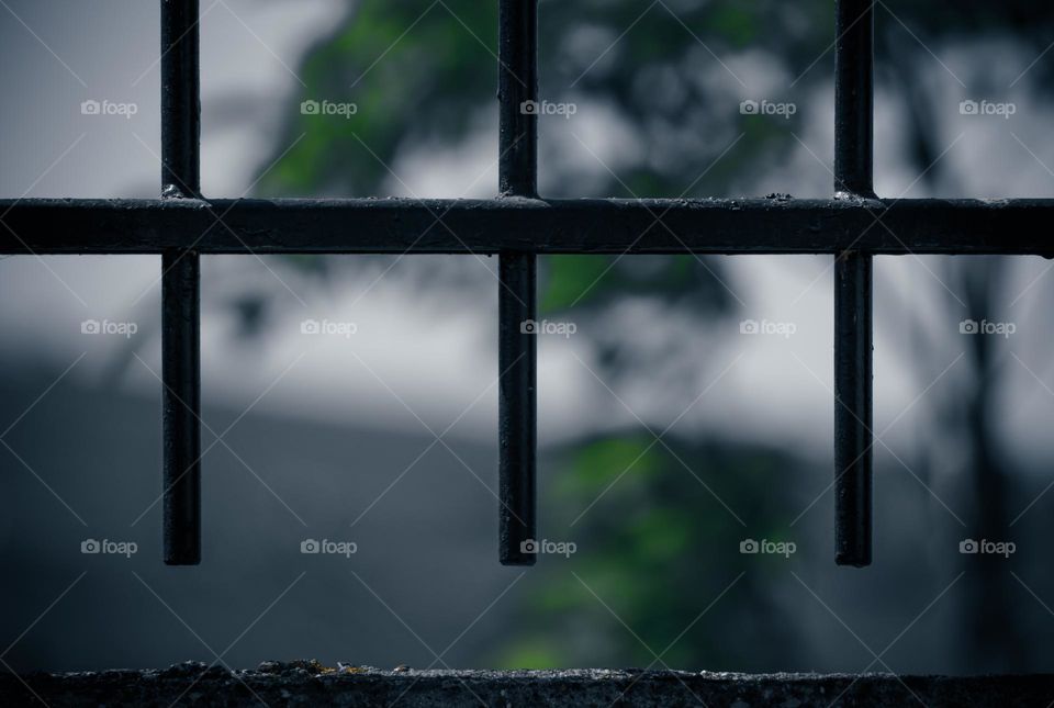 решётка забора в пасмурную погоду