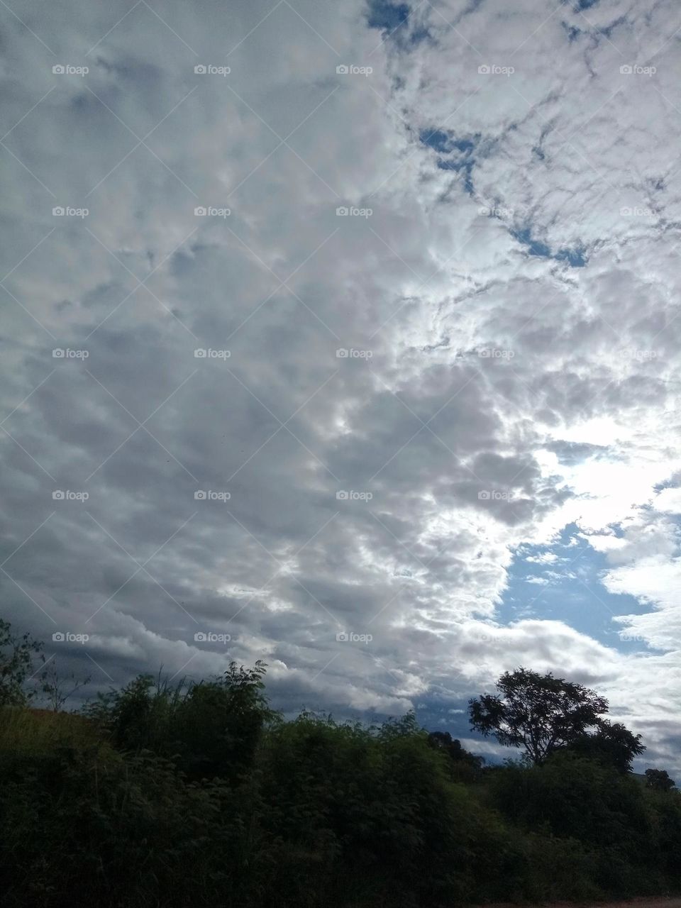 Editorcoice the Photo week O Céus com belíssimas nuvens prateadas