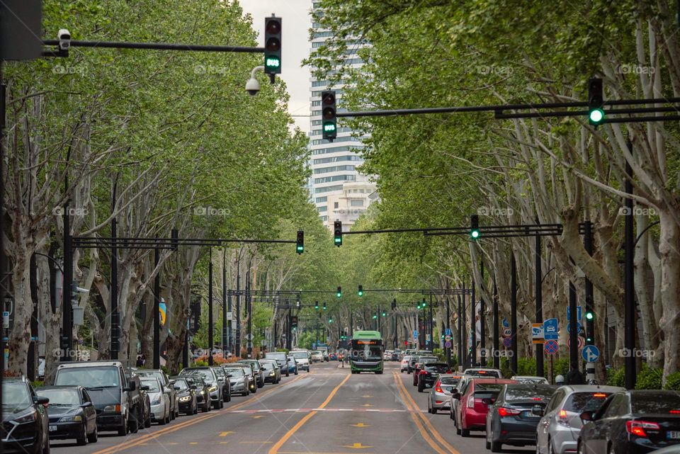 Bus on the bus lane in Tbilisi traffic in Vake