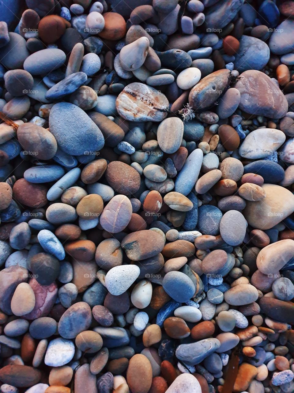 Pebbles at a local beach