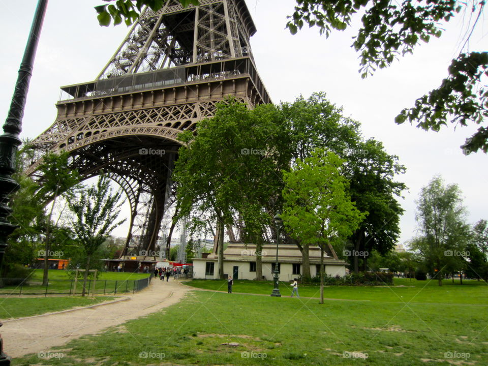 Architecture, Bridge, Travel, Tree, Building