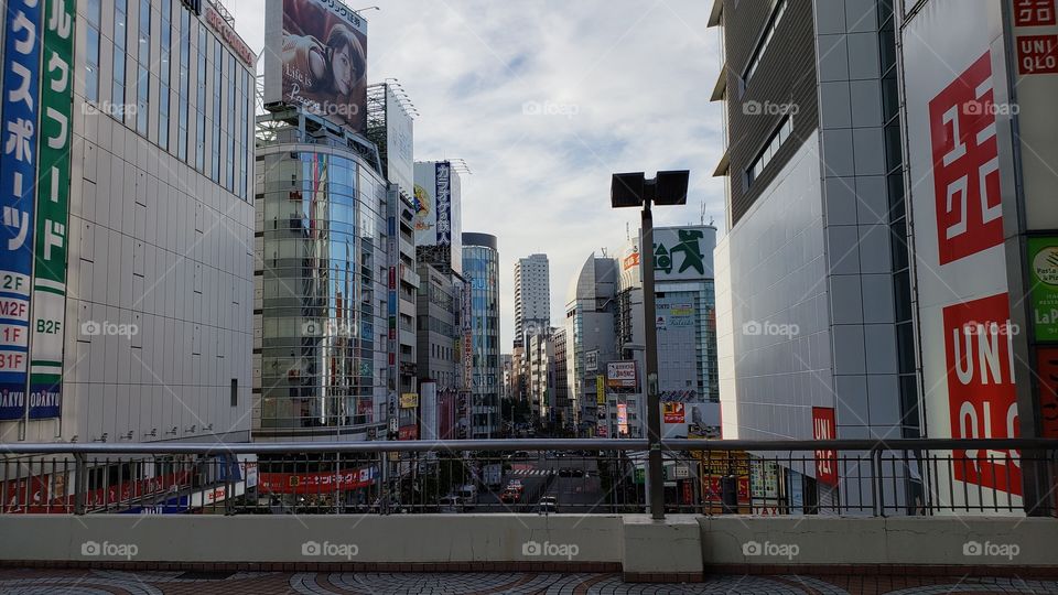 Tokyo Metropolis