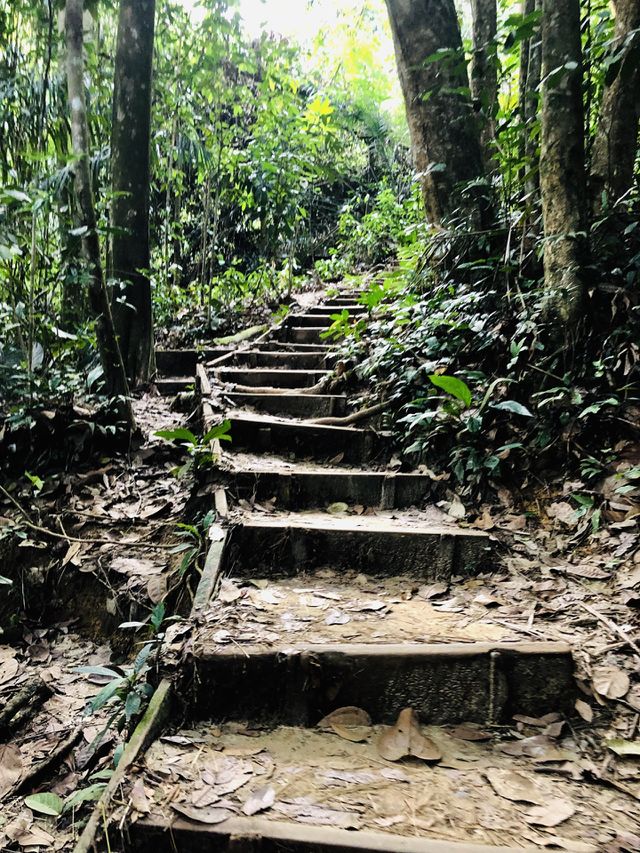 Hiking trek 