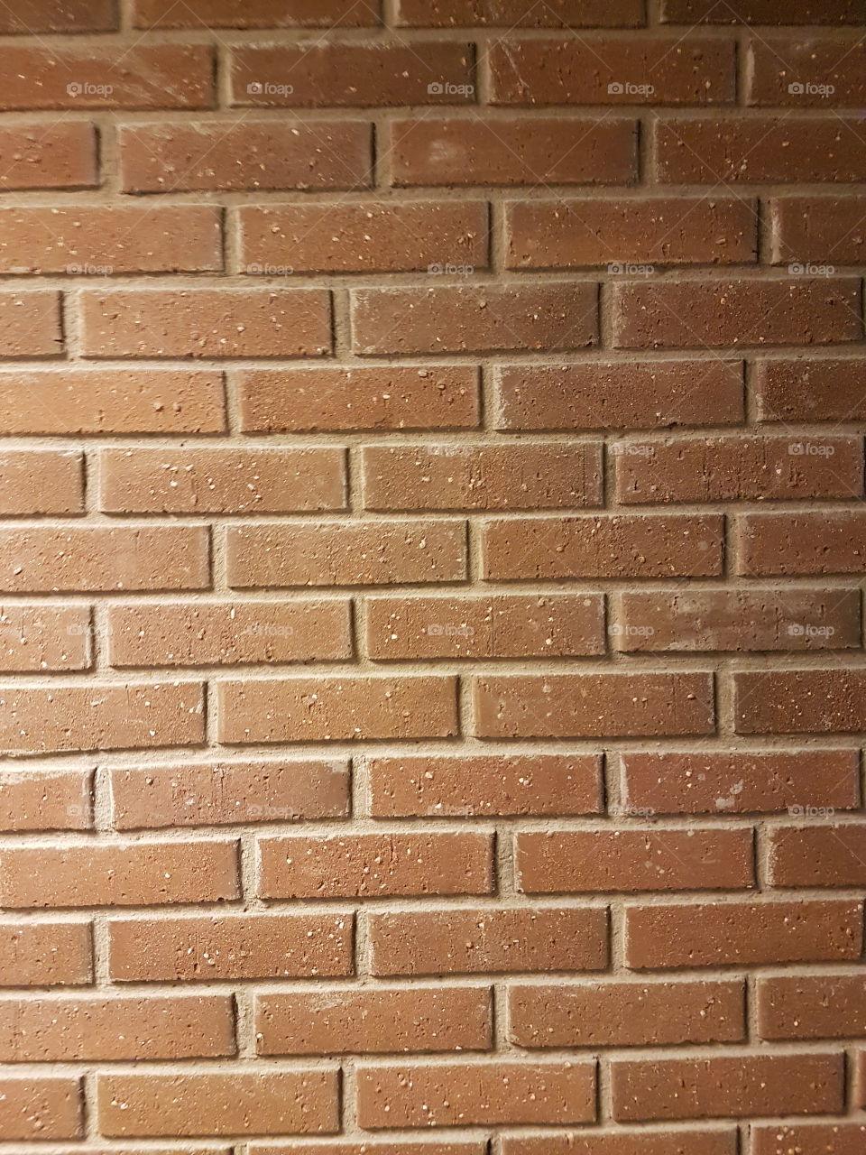 Wall in house brick