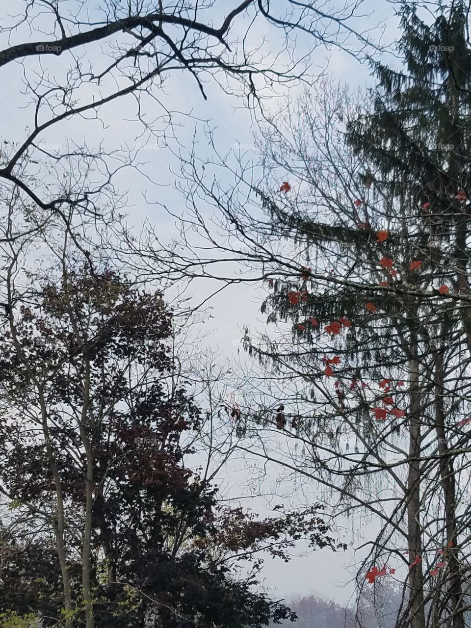 Sunday morning stillness in autumn as the haze rolls in from the wildfires