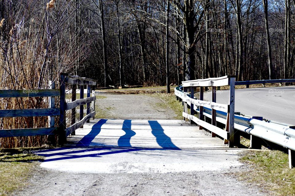 A bridge on the path to the forest 
