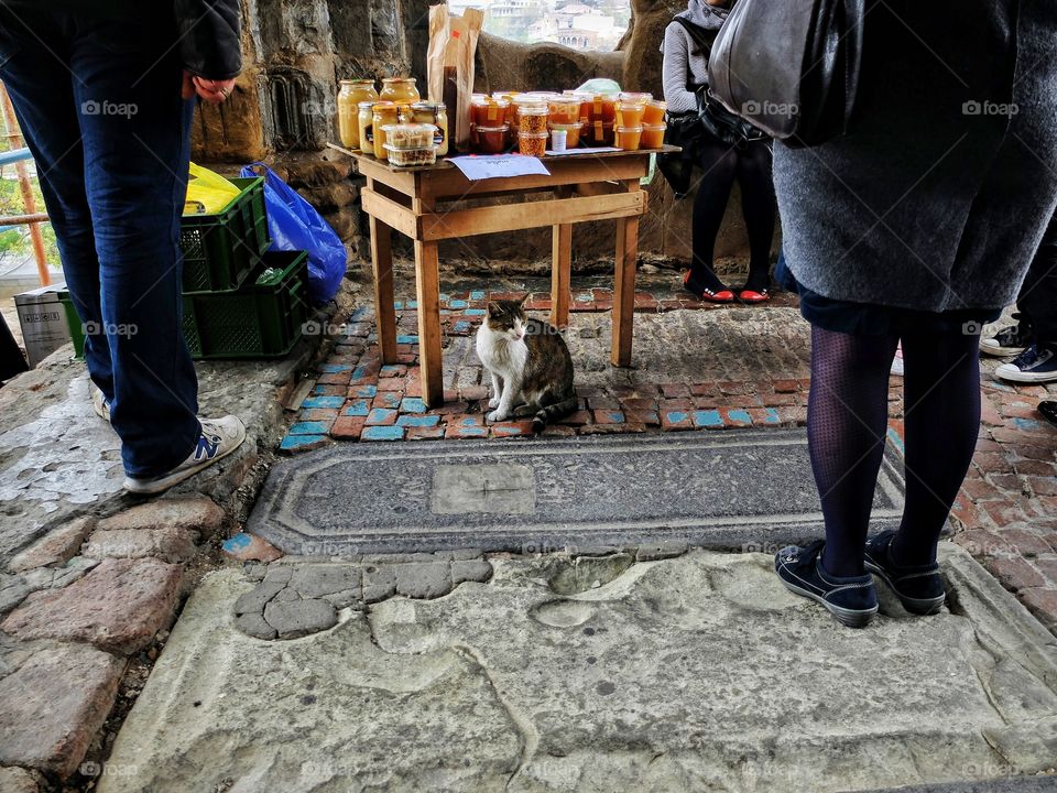 Took this shot in one Georgian church. People were seating by waiting for something. That cat was waiting too. 