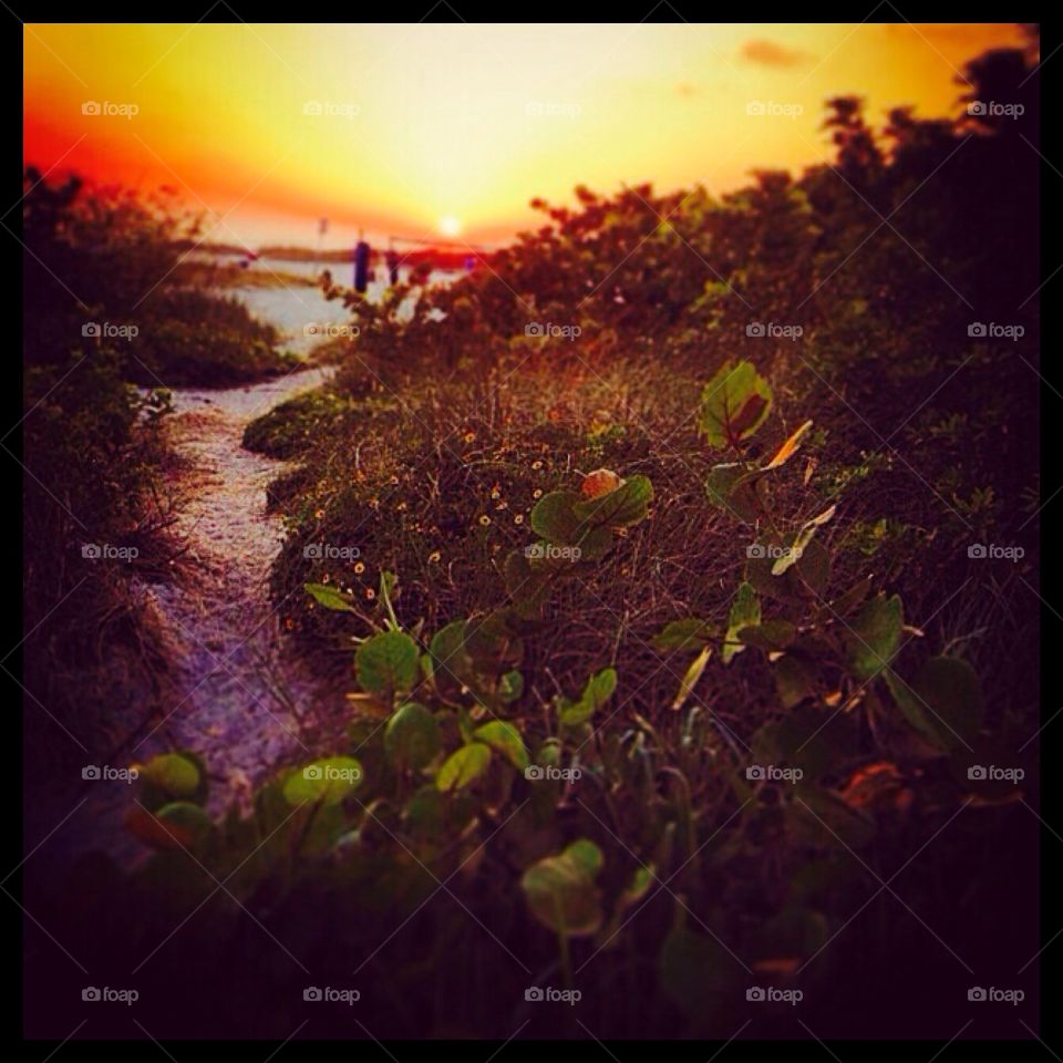 Beach Path. St. Pete Beach, FL sunset