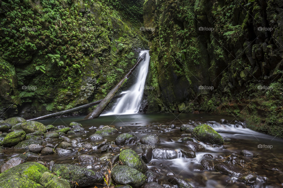 The waterfall of Salto do Cagarrao in the middle of the woods of the island of Sao Miguel, Azores, Portugal.