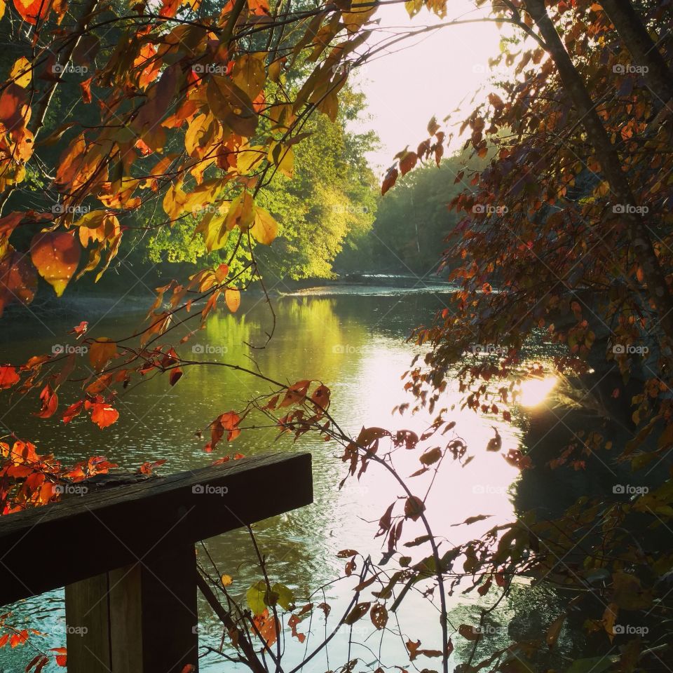beautiful autumn Riverview