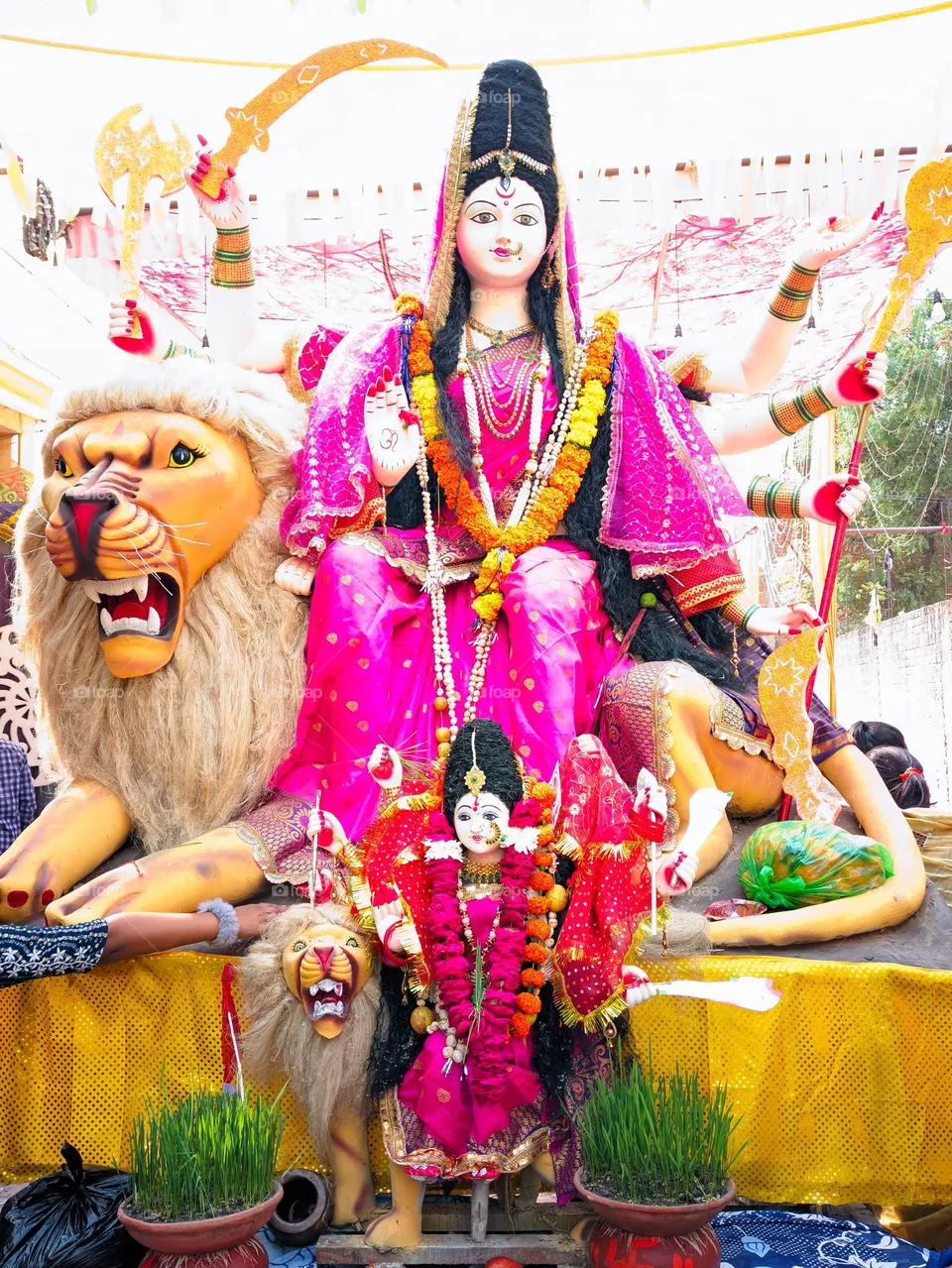 maa