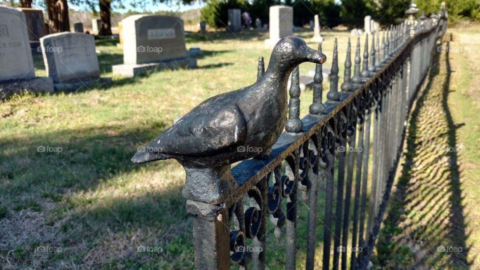 bird iron fence gate