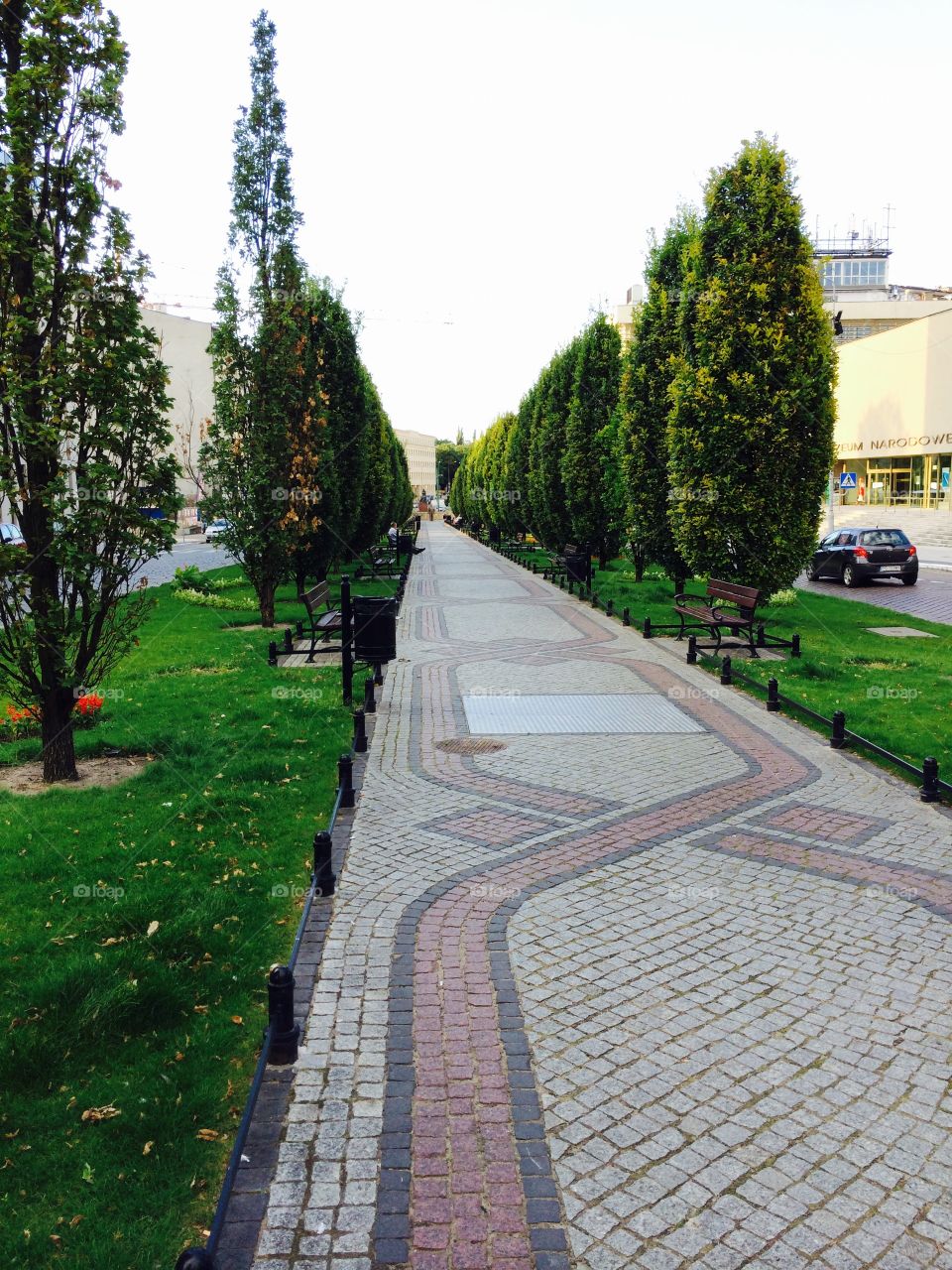 Green walking path in the middle of a busy street.