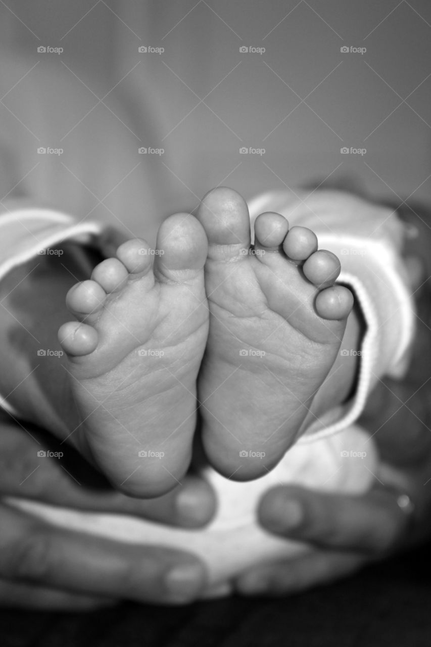 Baby feet close up and shot in monochrome