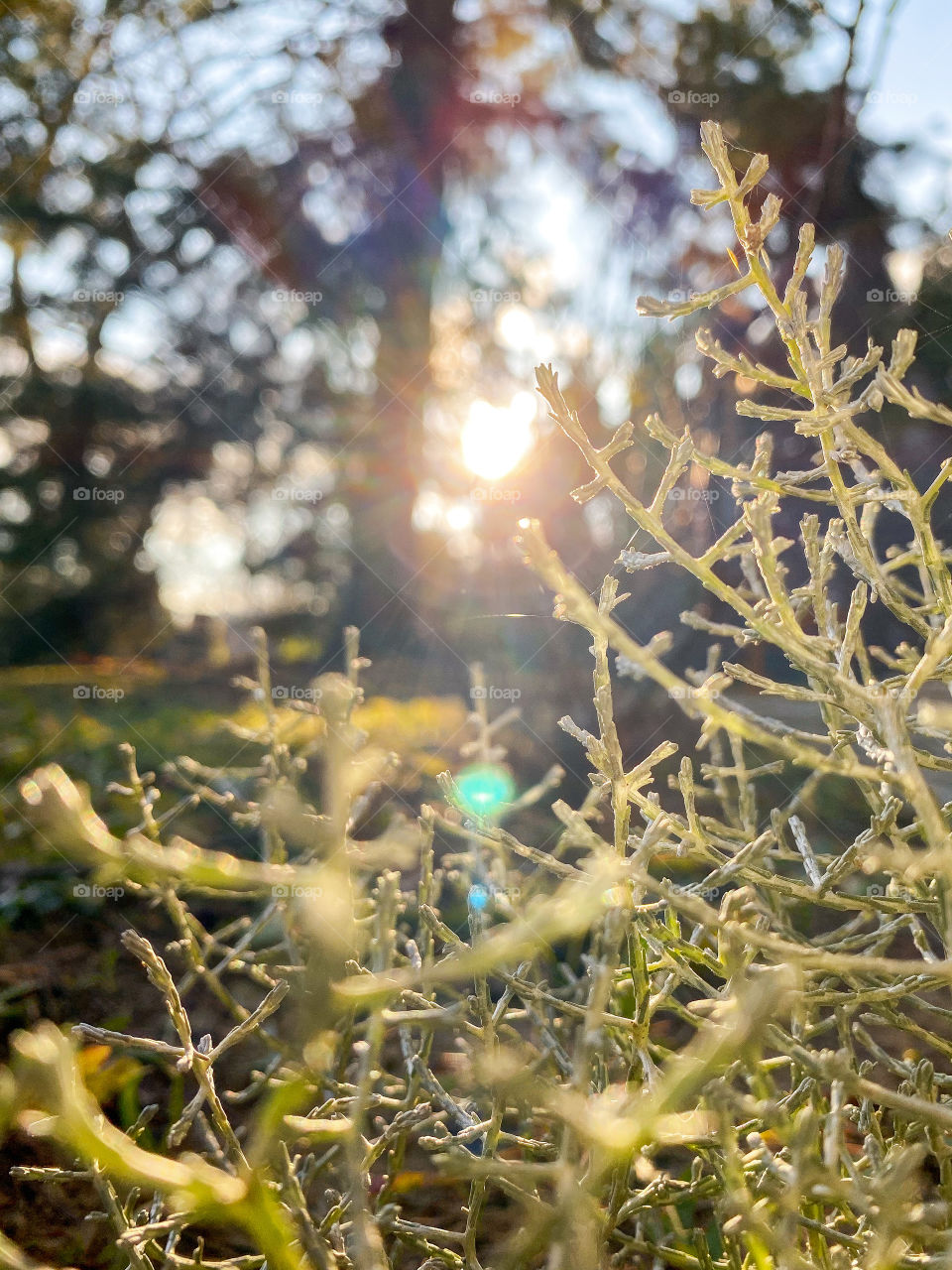 Autumn 📸✨🌱☀️🥰