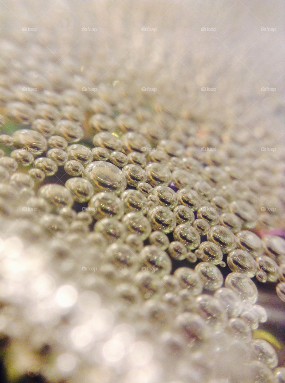 Drops . Bubbles floating 