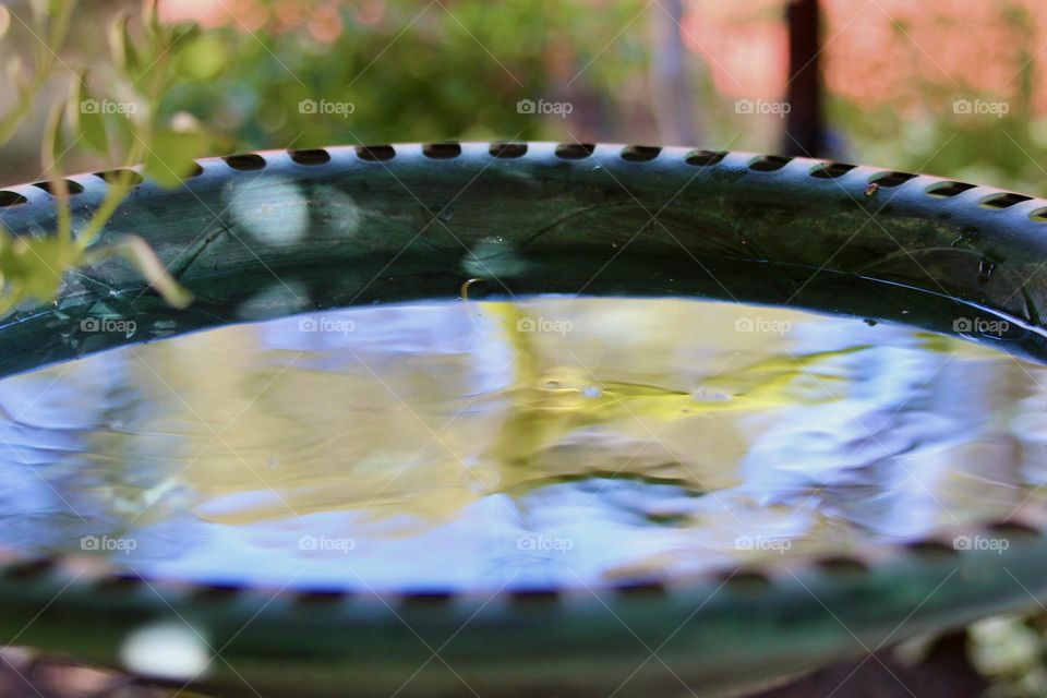 The sky and trees reflected on a small, undisturbed body of water, creating a beautiful condiment of colours.