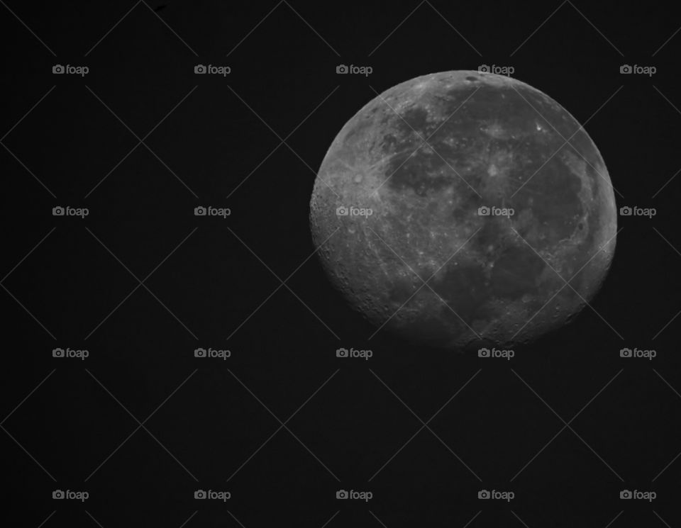 Full moon - Soft touch