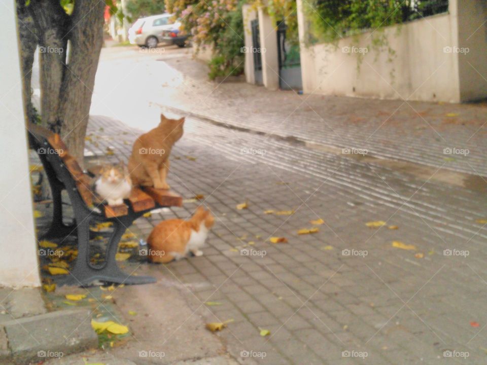 athens Greece