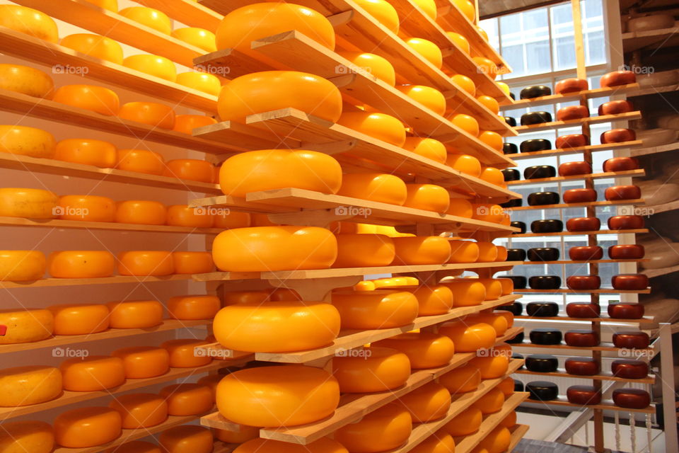 Cheese museum in Amsterdam! Wheels and wheels of glorious cheese! Stacked on shelves 