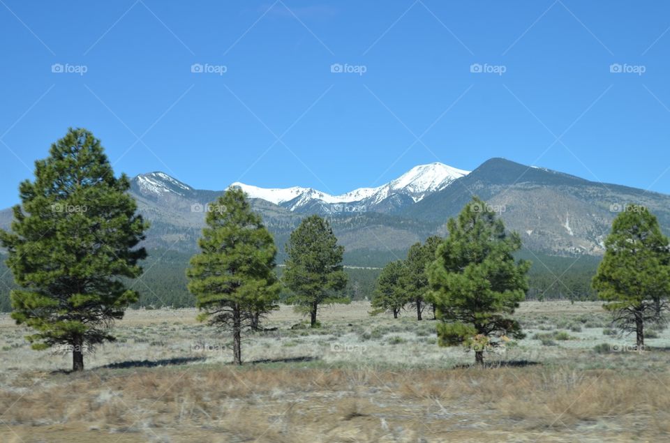 San Francisco Peak in Flagstaff, Arizona USA