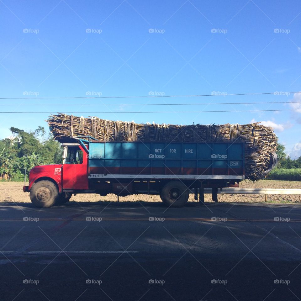 A sugarcane-filled truck parking on a typical sunny afternoon.
