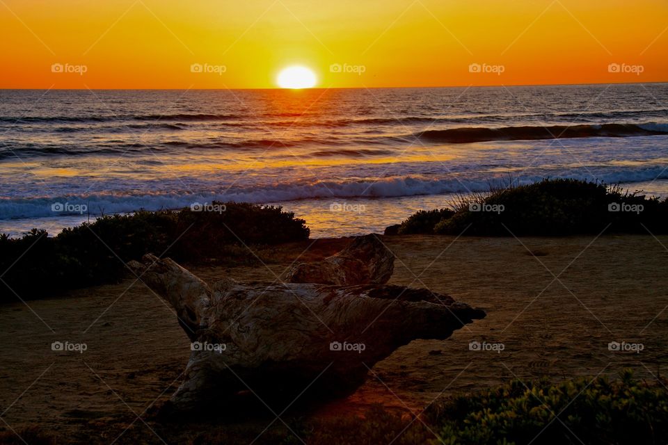 Looking out over the ocean to a beautiful sun set with driftwood in the forefront.