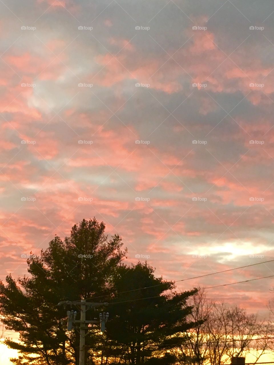 Red sky in the morning 