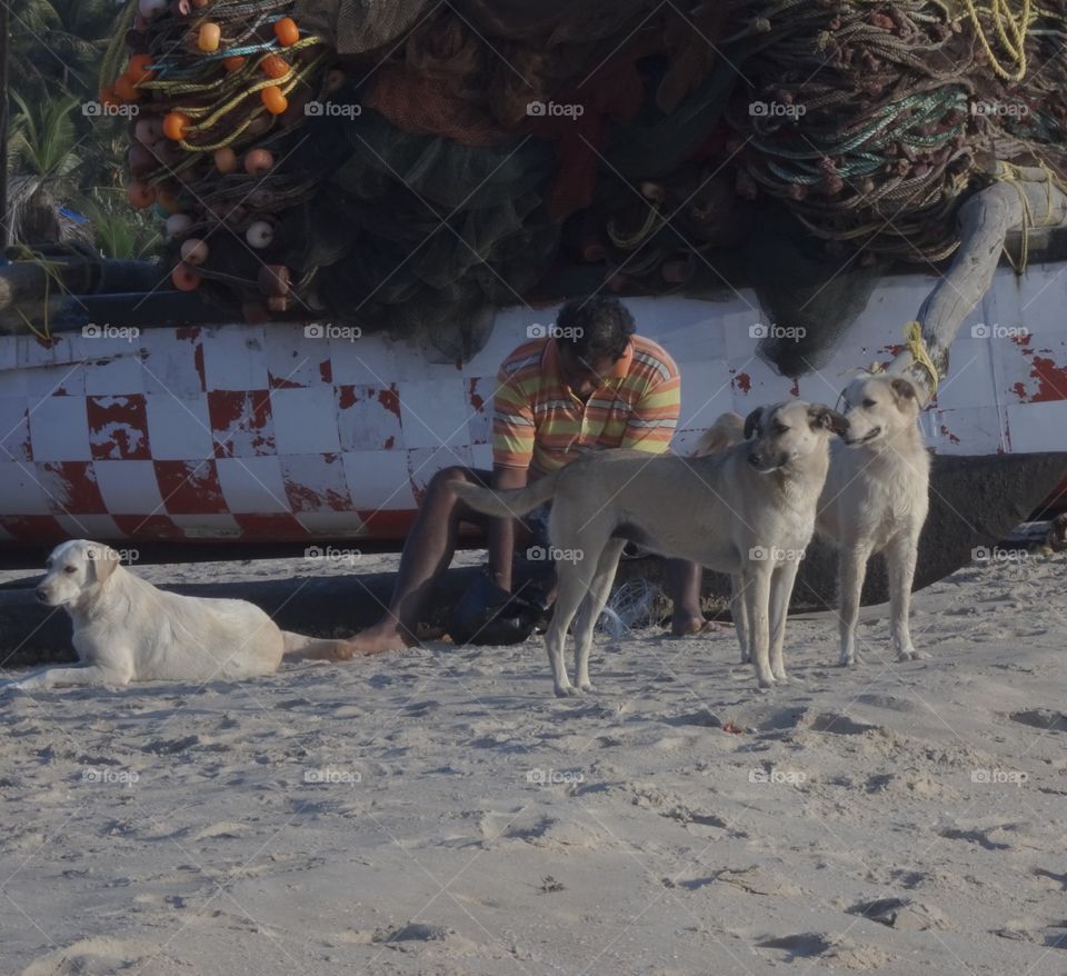 pet dogs of a fisherman of India