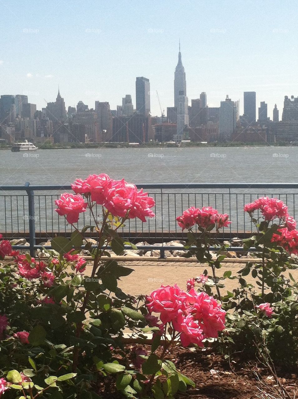 Pink flowers New York skyline
