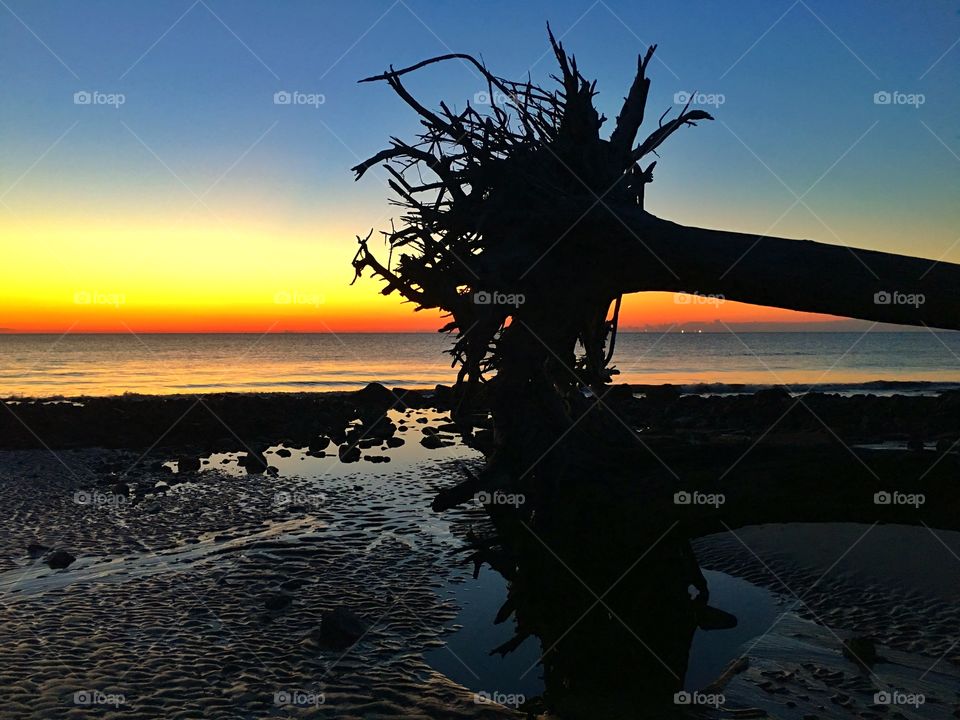 Sunset, Beach, Water, Sea, Ocean