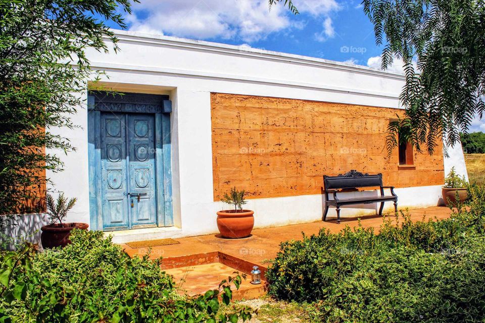 Color vs black and white