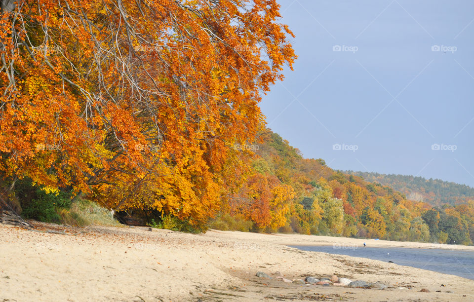 Scenic view of beach during autumn