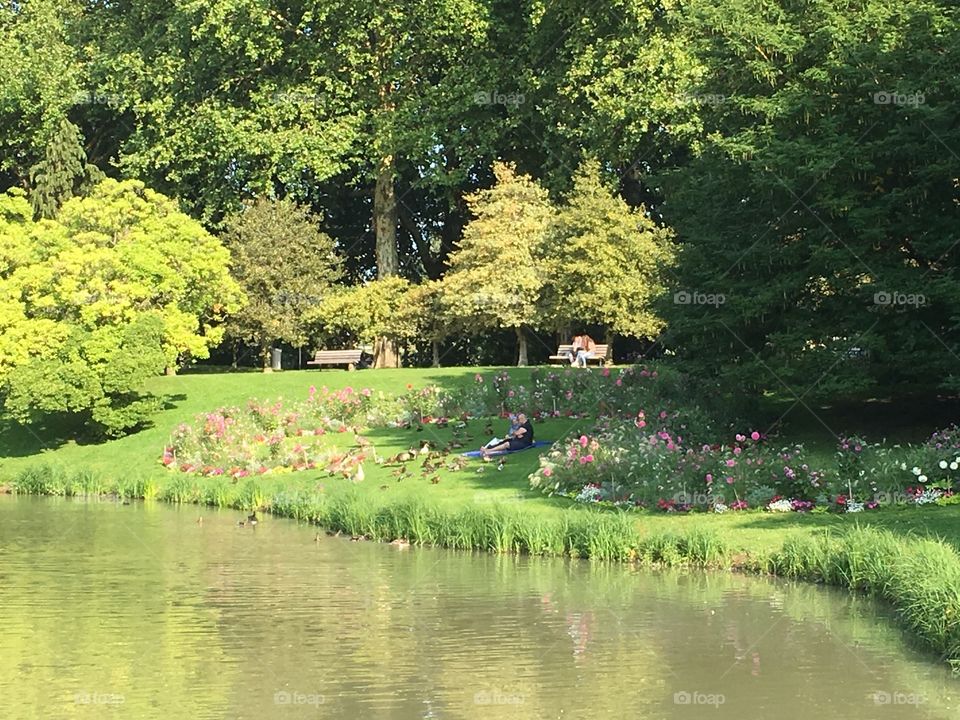 Parc Barbieux