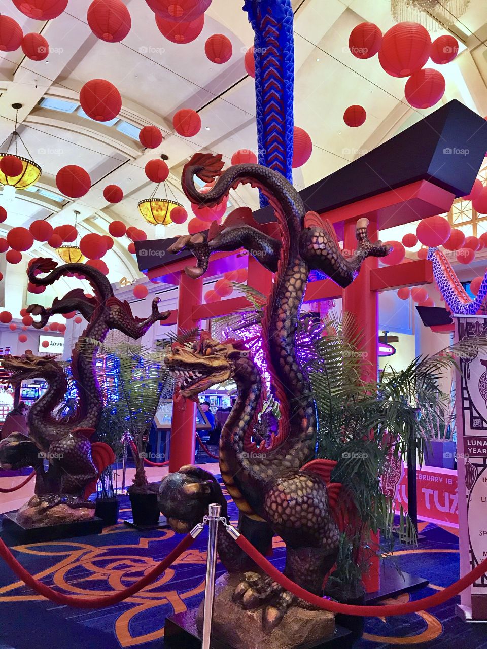 Lunar Year 2018 Year Of The Earth Dog 