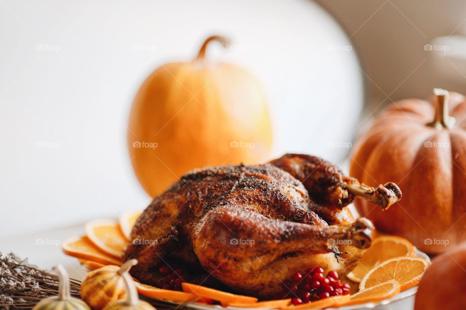 turkey, Thanksgiving, pumpkin, Thanksgiving day, Thanksgiving decor,