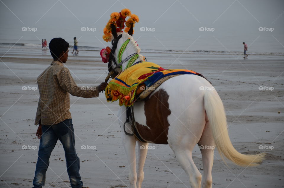 boy with horse in Beach