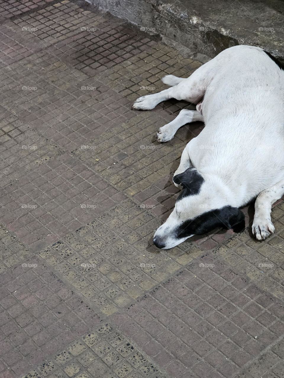 What's that doing here??