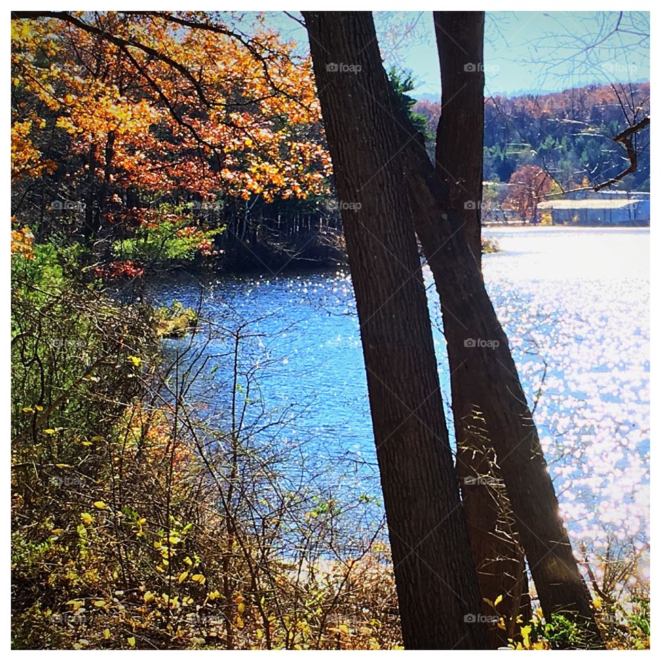 Fall in Massachusetts, could it be anymore beautiful and vibrant? Foliage and water!