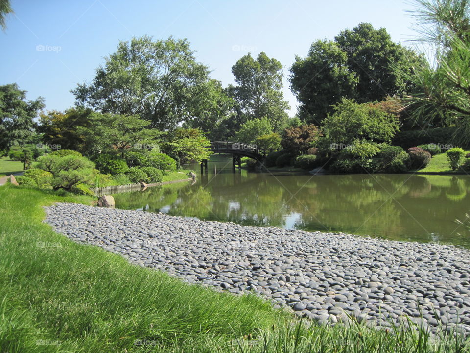 Japanese garden