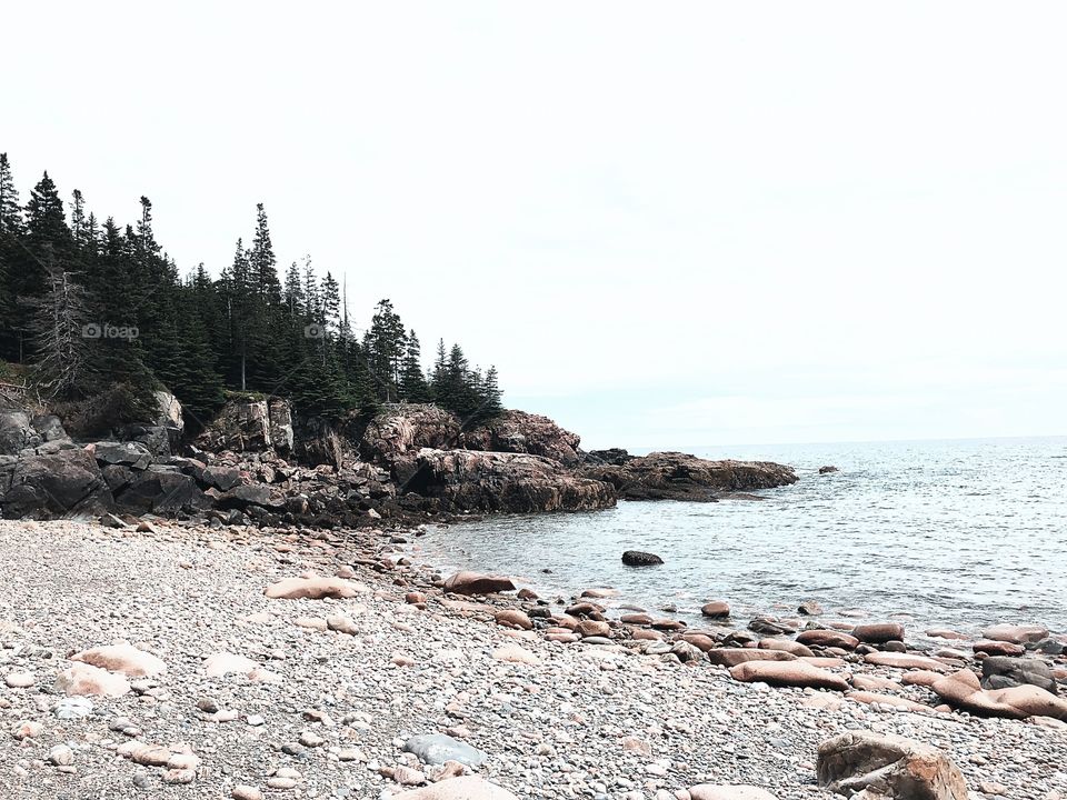 Maine shore 