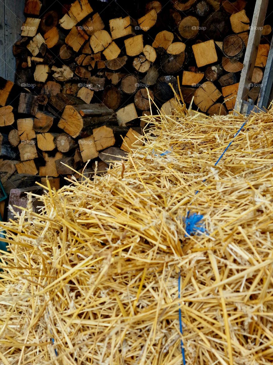 yellow hay and wood