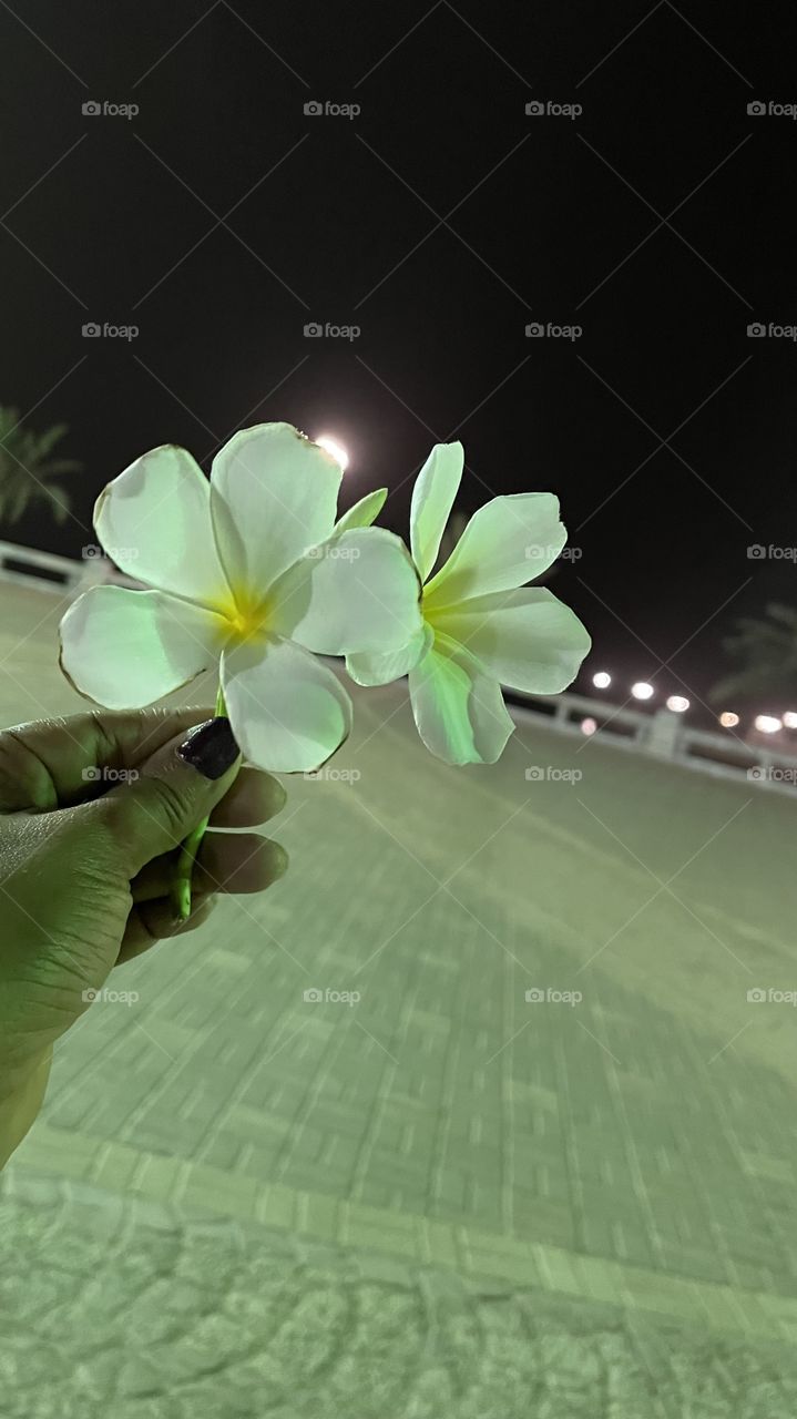 Holding white flowers 