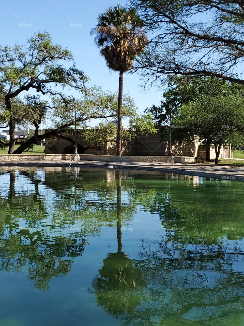 Reflections in a spring fed pool at a local city park.