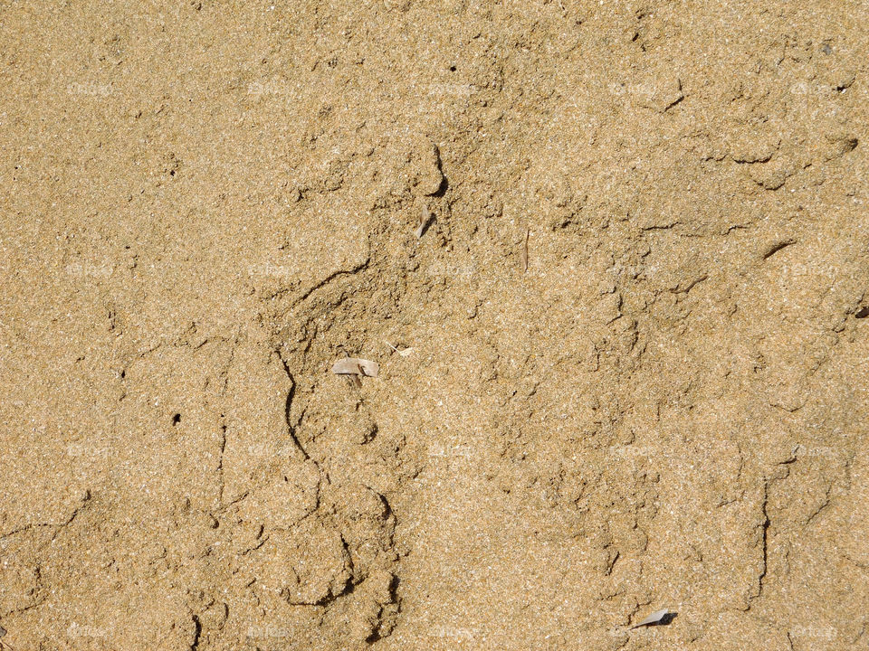 sand texture