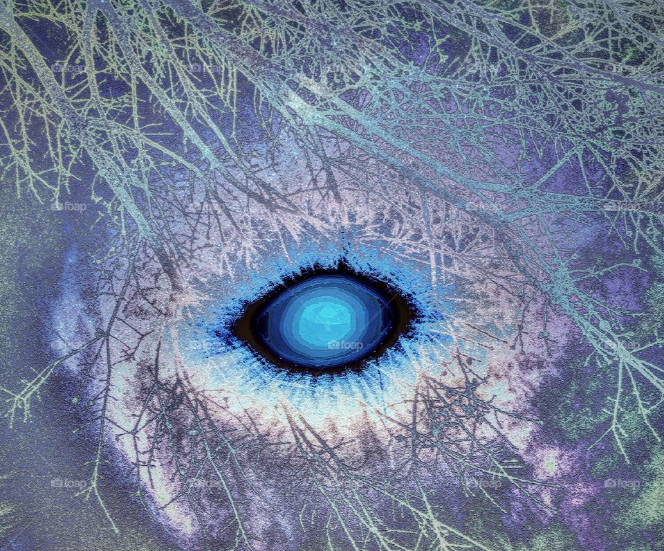 Human eye with frozen trees