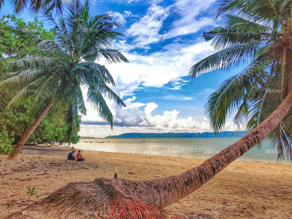 Beautiful landscape of a beach