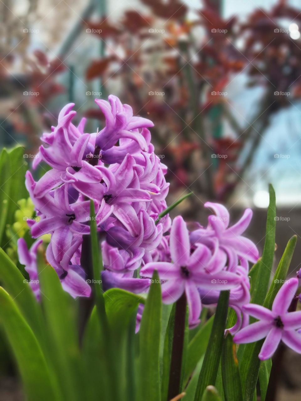 the first signs of spring