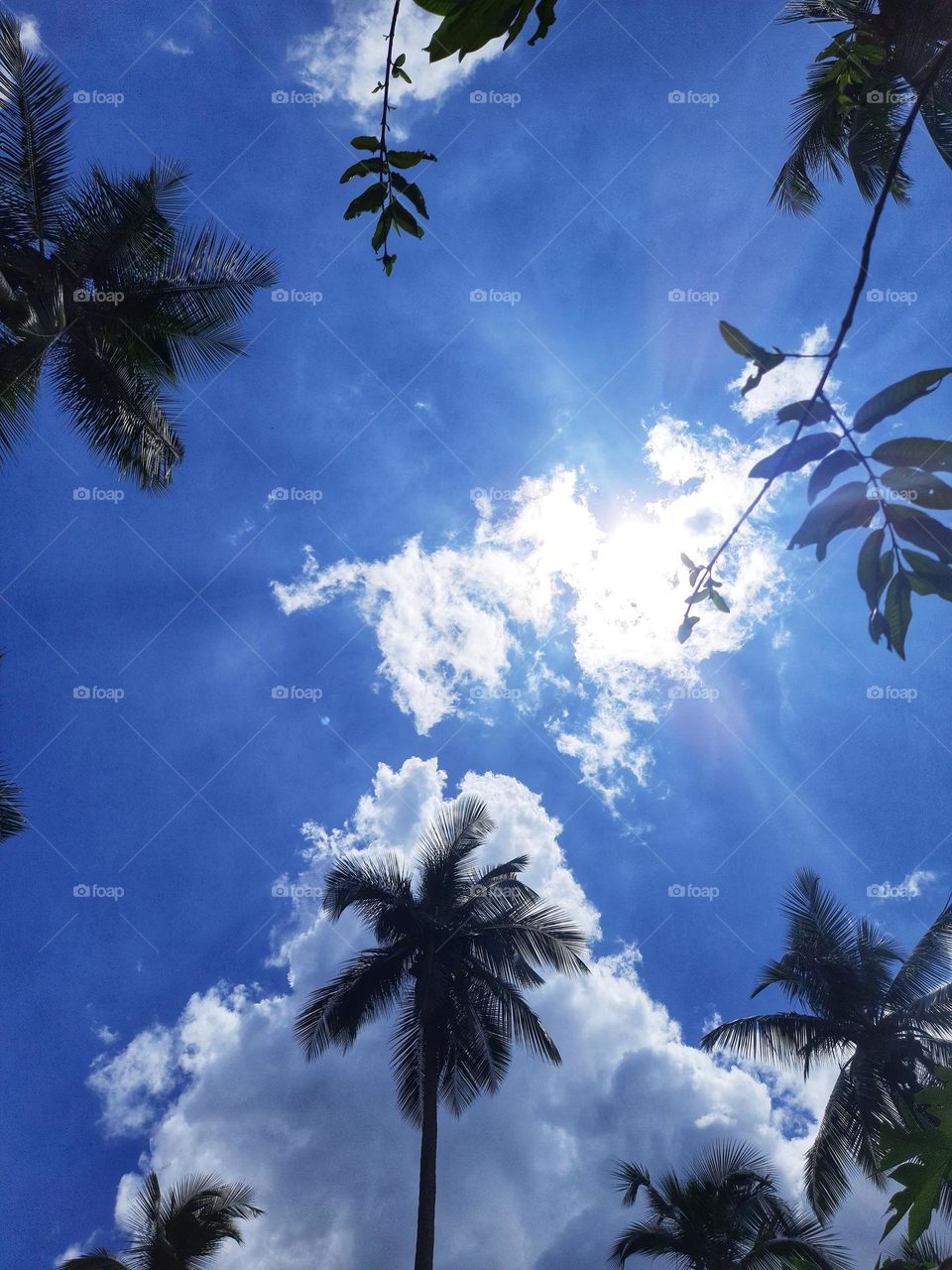 Beautiful morning sky full of clouds in Sri Lanka