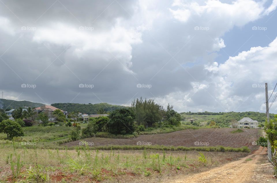 Farmland